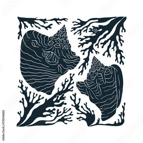 Art nouveau conch shells in frame of seaweed or corals hand drawn vector illustration