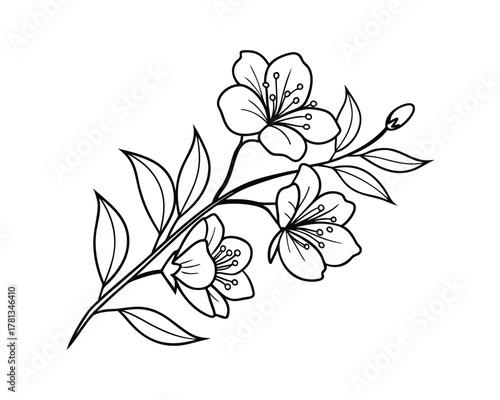 Elegant Cherry Blossom Branch Black and White Line Art Illustration for Various Creative Projects and Designs