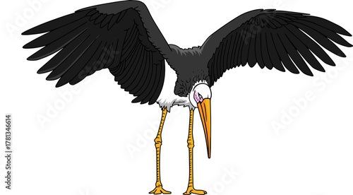 black stork vector illustration isolated on white background