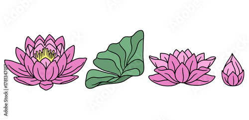 Hand drawn pink lotus flower line art vector illustrations set isolated on white background