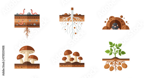 Underground exploration: worms, roots, moles, mushrooms, and plants in nature