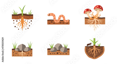 Soil and nature elements with roots, worms, mushrooms, rocks, and ants