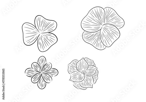 DIFERENTES FLORES ESTILO LINEAL, FLORES CON DIBUJO LINEAL EN VECTOR