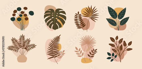 Abstract Botanical Illustrations Set of Tropical Leaves and Floral Designs for Decor and Design