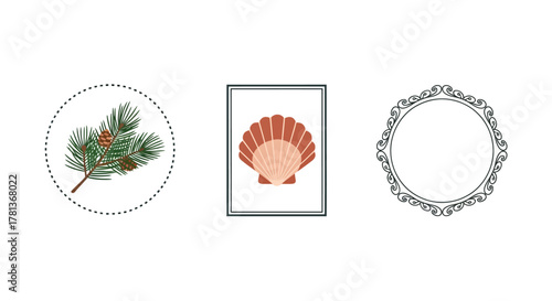 Nature and decorative frames featuring pine branches and seashell