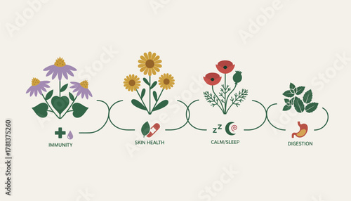 A beautiful wildflower meadow showcasing various medicinal herbs highlighting their diverse applications in wellness.