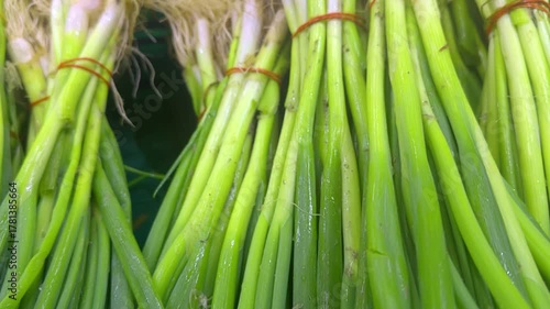 Pile of Fresh Onion Bunches at the Market Footage.  