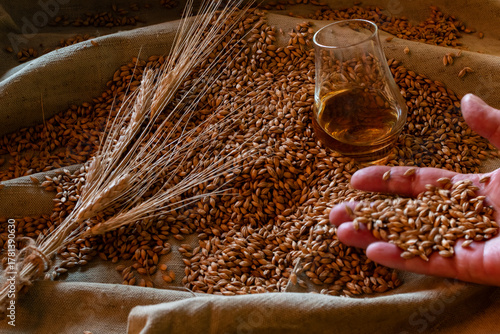 A hand holds raw barley grain, resting on a pile of grains and wheat ears next to a glass of whiskey. A conceptual shot emphasizing quality and the natural origin of the spirit