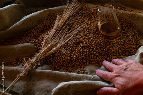 A hand rests among raw barley grain and wheat ears, next to a glass of whiskey on burlap. A rustic, conceptual still life emphasizing heritage and natural ingredients