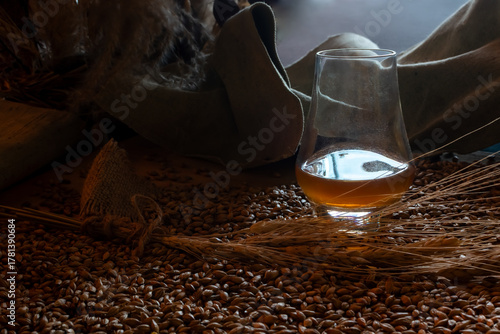 Rustic low-angle close-up of glass of amber whiskey, raw barley grain, wheat ears and burlap texture. Conceptual still life emphasizing heritage and natural ingredients of distilled spirits