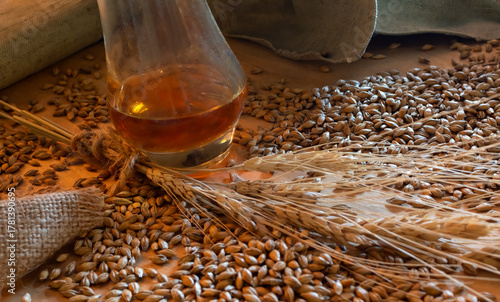 Nosing glass with amber whiskey surrounded by raw barley grain, wheat ears and burlap on wooden table. Conceptual still life emphasizing the natural ingredients and the heritage of distilled spirits