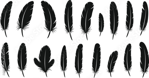 Collection of diverse black feather silhouettes arranged on a white background, showcasing varying shapes and sizes.