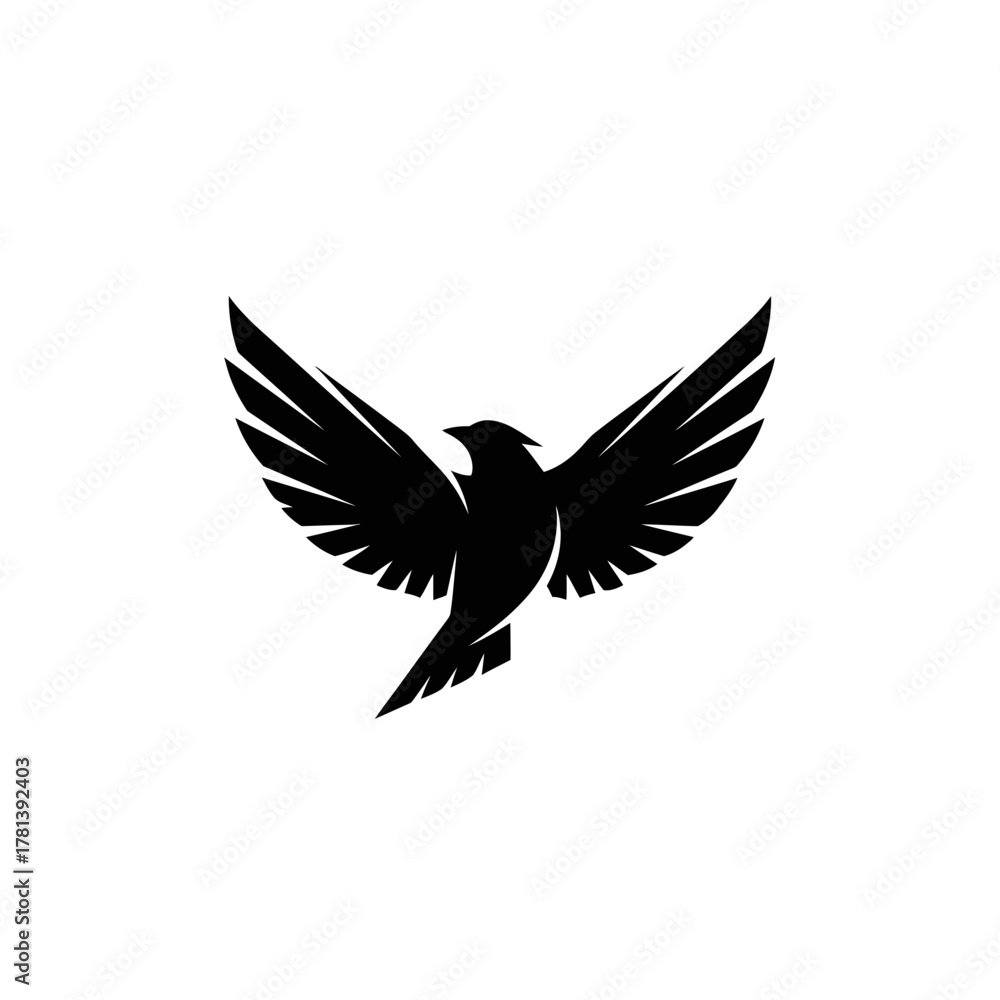 Fototapeta premium Majestic black bird with wings spread in flight.