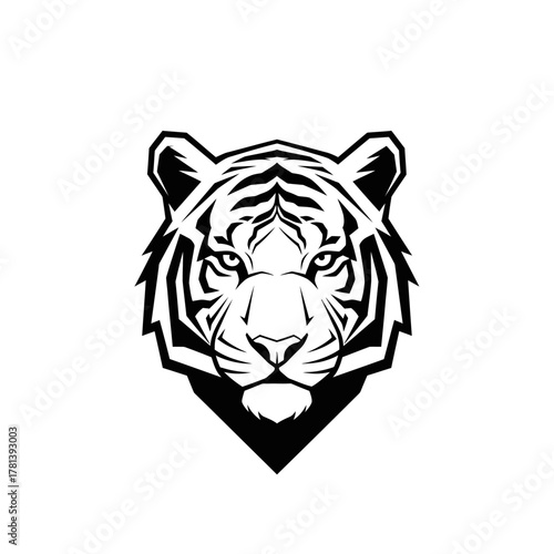 Striking Black and White Tiger Head Illustration.