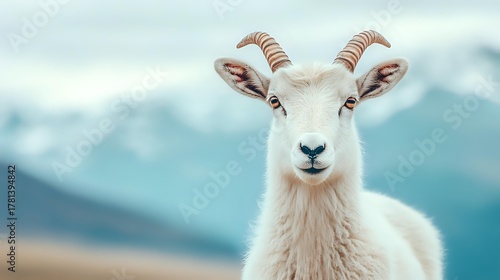 Majestic white mountain goat with curved horns against blurred snowy mountain backdrop, wildlife portrait in natural habitat.