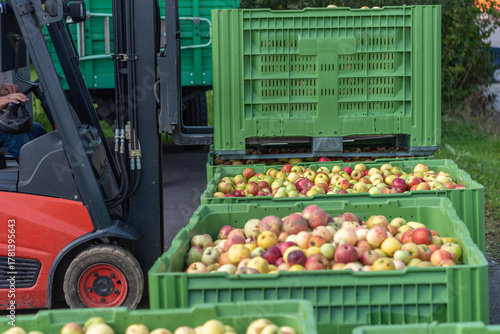 Forklift carries crates of fruit. Many apples in container