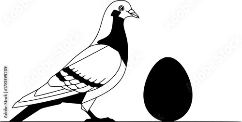 Illustration of a pigeon standing next to an egg silhouette
