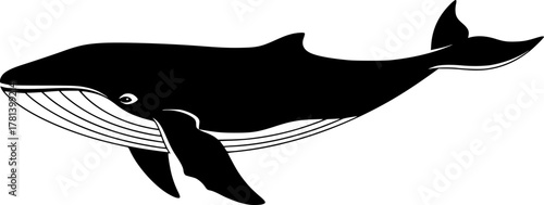 Silhouette illustration of a swimming whale animal
