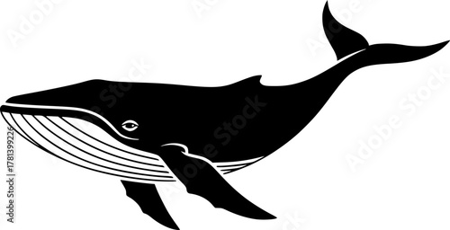 Silhouette illustration of a swimming whale animal
