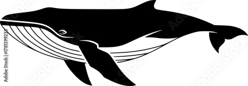 Silhouette illustration of a swimming whale animal

