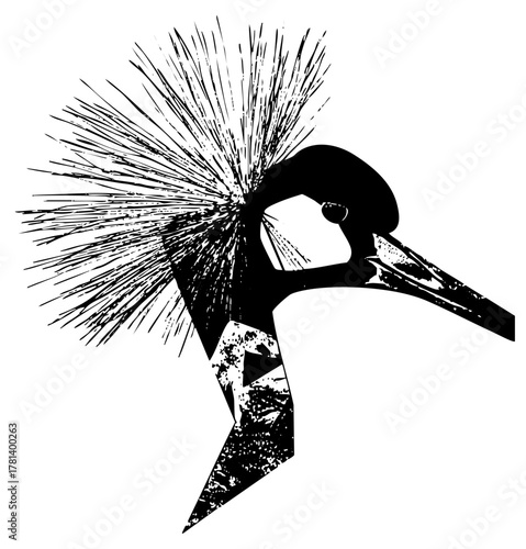 Hoopoe Bird in Natural Habitat