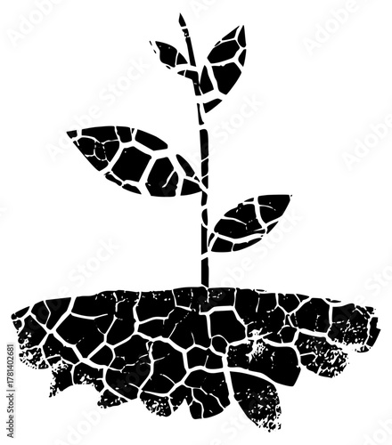 Plant sprouts growth fractured design