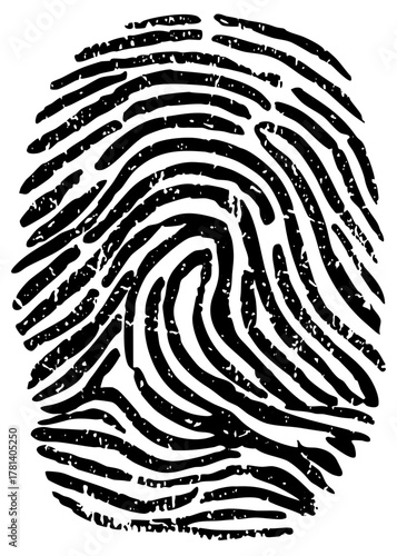 Fingerprint identification in forensic investigation