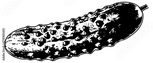 Pickle illustrates freshness in botanical illustration