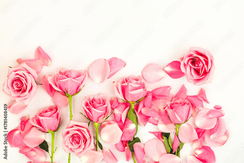 Obraz premium Beautiful pink roses with petals arranged on a soft background for decoration or gifts
