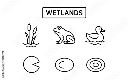 Minimalist wetlands icons featuring reeds, frog, duck, and lily pads