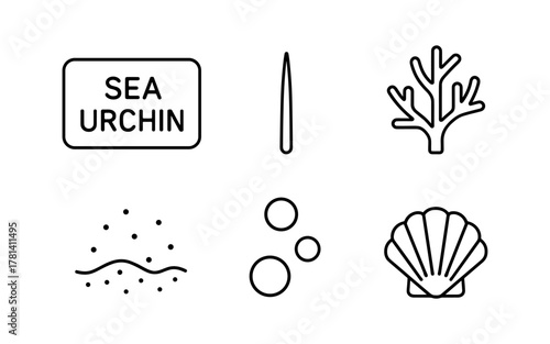 Minimalist sea life icons: sea urchin, coral, and shell elements in linear style