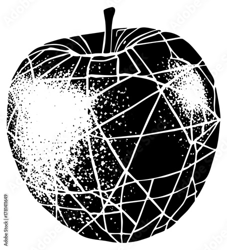 fractures reveal decay within a still life