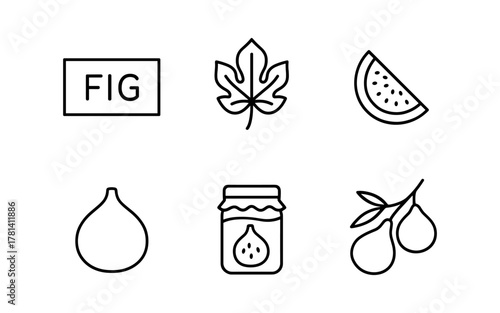 Minimalist line art fig and leaf icons in black and white