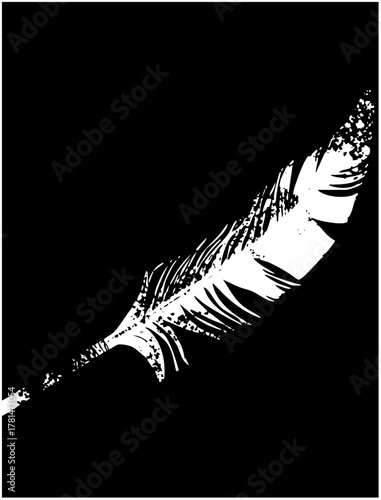 Feather floats elegantly in simplicity