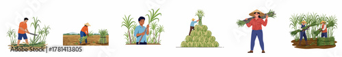 Flat Illustration Collection of Farmers Harvesting Sugarcane Field Activity
