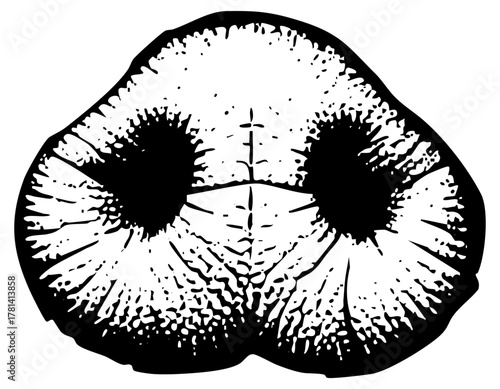 Lips imprint reveals beauty closeup