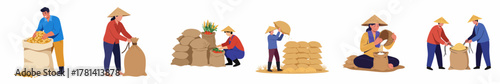 Flat Illustration of Farmers Harvesting Rice with Traditional Hat Agriculture