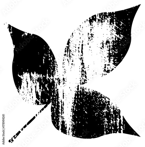 Leaf texture illustrates organic decay in nature