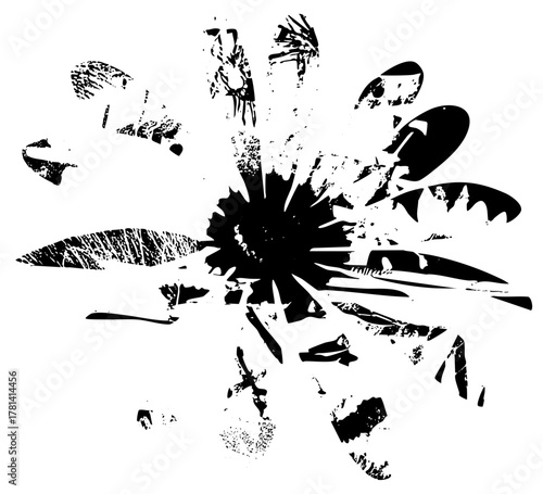 arrangement explodes with energy in abstract botanical study