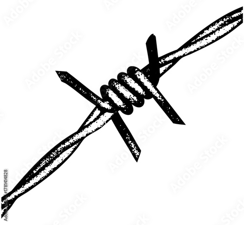 Barbed Wire Secures Boundary in Rural Landscape