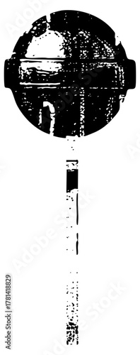 Microphone sings performance in a recording studio