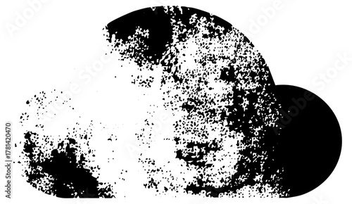 Abstract face emerges from texture in halftone