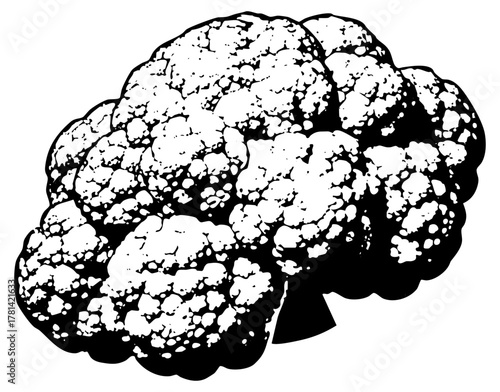 Cauliflower Illustrates Texture in Still Life