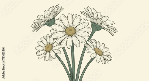 Captivating Floral Illustration: Elegant Daisies with Delicate Shading and Texture
