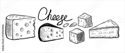 Cheese sketch, Party set of porous pieces of Gouda, Camembert, and Brie, vintage engraving monochrome line drawing in black ink. Doodle illustration of ingredients for product branding, culinary blogs