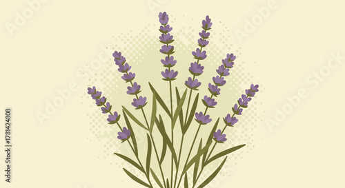 Elegantly Drawn Lavender Bouquet on a Pale Background with Dotted Accents