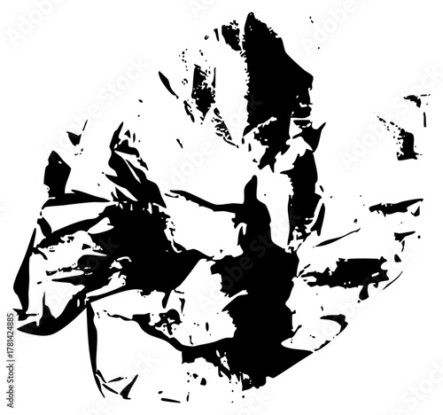 Portrait abstraction in illustration