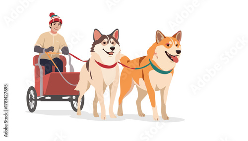 Person riding in a cart pulled by two sled dogs in winter  