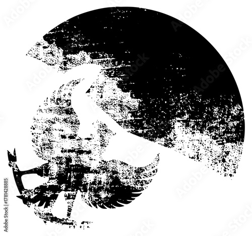 Armadillo Defends Territory in