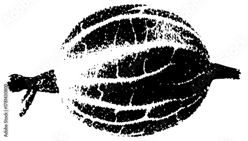 Gourd Illustrates Growth in Autumn